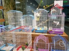-龟与熊猫宠物公园(南坪店)