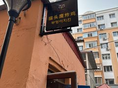 -猫头鹰炸鸡