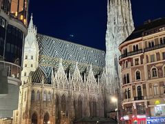 -斯蒂芬主教座堂(Stephansdom)