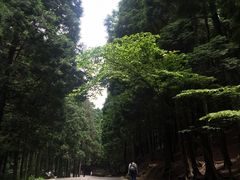 -含鄱口