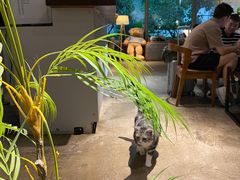 -咖法森林·咖啡  酒吧(天河店)