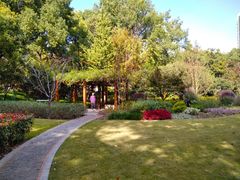 -徐家汇源景区-衡山公园