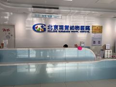 -北京观赏动物医院·24小时大型综合·猫专科·异宠专科