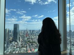 -六本木新城展望台(东京城市景观)