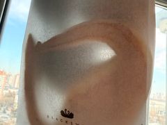 -BLACKSWAN黑天鹅(环球店)