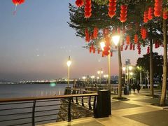 -深圳湾公园(南山区)