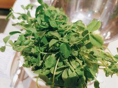 -浩爷羊蝎子火锅(望京店)