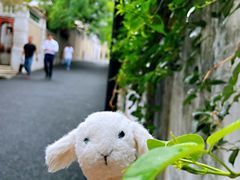 -佟小曼手工茶饼坊(鼓浪屿1店)