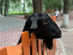 -北京野生动物园