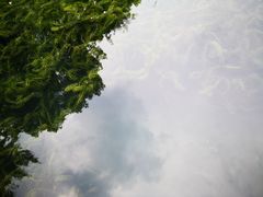 -成都市活水公园