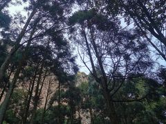 -雁荡山大龙湫景区