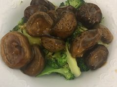 -翠华餐厅(香港国际机场店)