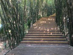 -东部华侨城