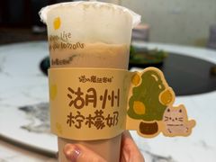 -猫的魔法密林(衣裳街店)