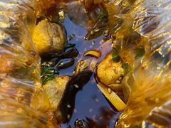 -闫家炸鸡架(五爱总店)