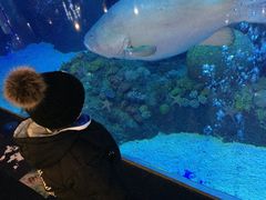 -成都浩海立方海洋公园