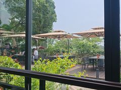 -蘇河湾·新鲁菜·泰山宴(泰山店)