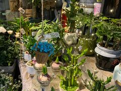 -循礼门鲜花花市(武汉循礼门店)