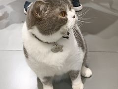 -解忧集市(北京路天河城店)