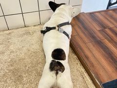 -Burger Bar 山沐西餐吧(钟村店)