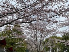 -自然谷恐龙园