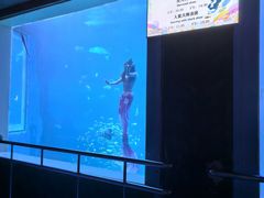 -太平洋海底世界