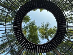 -黄海国家森林公园