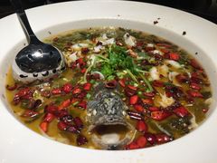 -渔见·精品川菜·老坛酸菜鱼(大朗店)