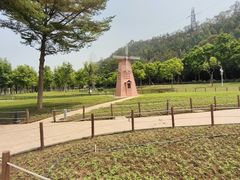-顺峰山公园