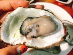 白灼生蚝-南蚝小贝海鲜特色餐厅(南澳岛店)