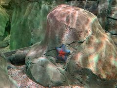 -沈阳海洋探索中心