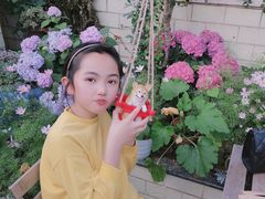 -喜柴咖啡·柴犬狗咖