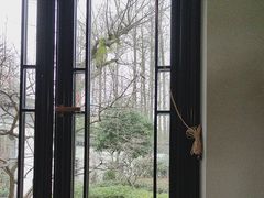 -杭州西湖柳莺里酒店·闻莺厅