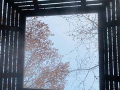 -春晖园度假酒店温泉