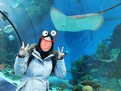 -福州罗源湾海洋世界旅游区