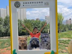 -青藏高原野生动物园