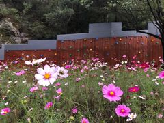 -蟠龙山长城景区