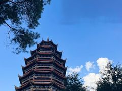 -铁山坪森林公园