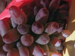 -马陆小张葡萄园农家乐