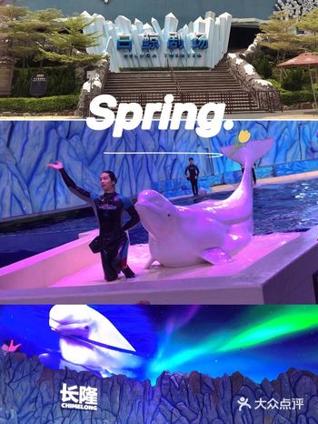 为了提前给宝宝过生日,筹划了半个月的旅游,最终选择去