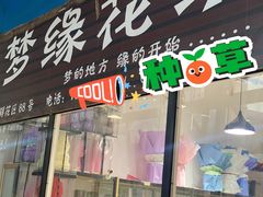 -梦缘花坊(郑州陈砦花卉市场B区店)