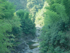 -湖州龙王山景区