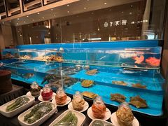 -许家菜(DT51店)