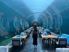 -海棠湾洲际-涛·海底餐厅·美人鱼·自助餐·海底隧道