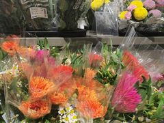 -鹿岛生活(熙地港店)
