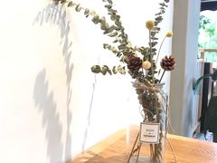 -猫的天空之城概念书店(束河店)