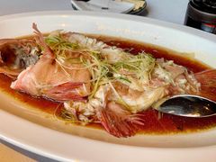 清蒸东星斑-三号黄浦会Canton Table