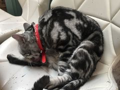 -小时光咖啡馆(北锣鼓巷店)