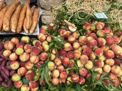 -大板桥综合市场(隆兴购物中心店)