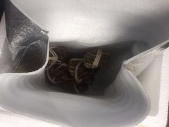 -七星龙虾城·海鲜·大闸蟹(吴江店)